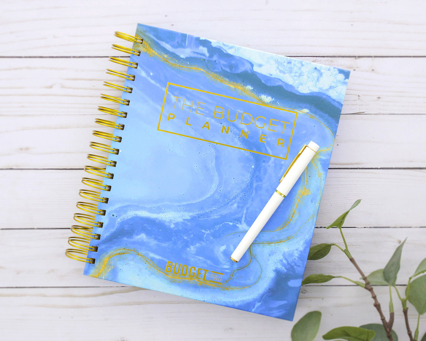 Budget Planner + Envelopes | Blue Marble