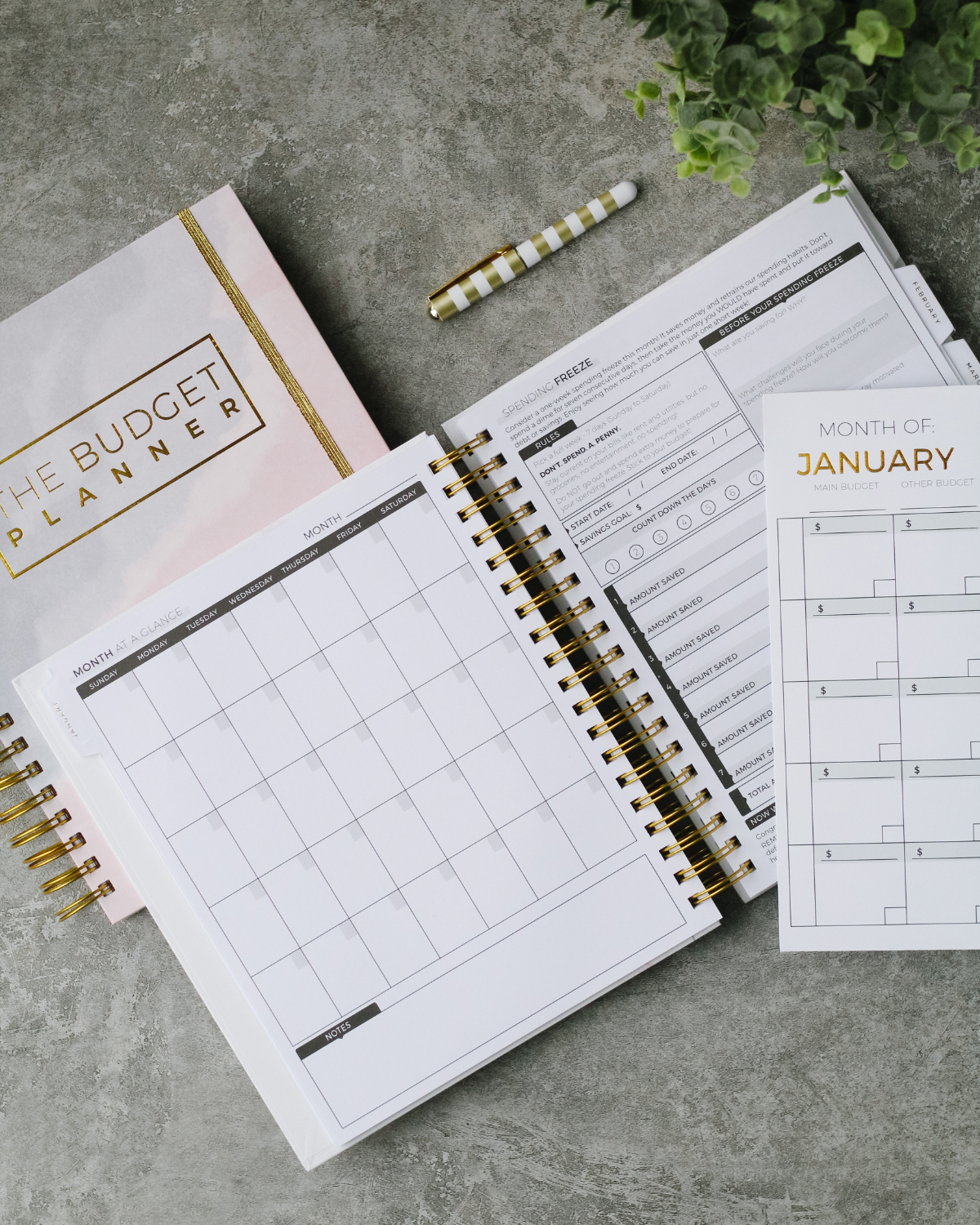 Budget Planner + Envelopes | Watercolor