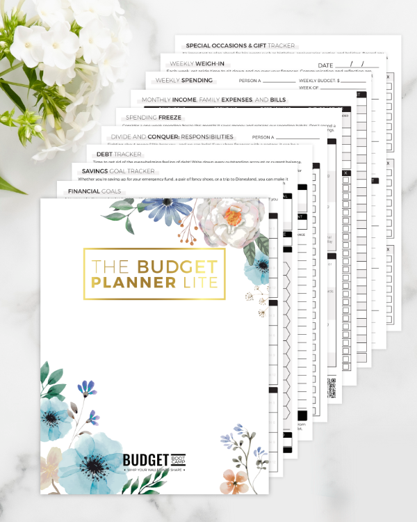 Budget Planner Lite | Digital Download