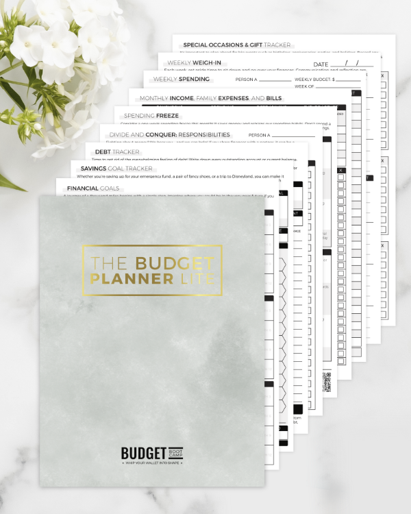 Budget Planner Lite | Digital Download