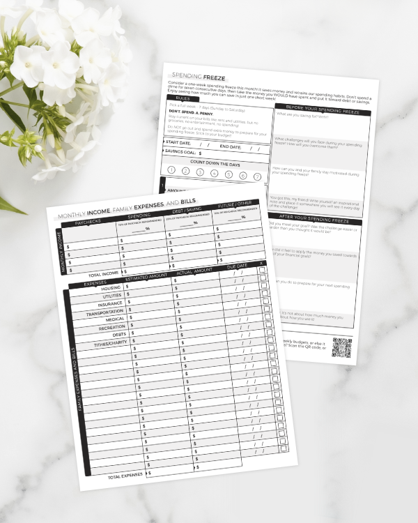 Budget Planner Lite | Digital Download