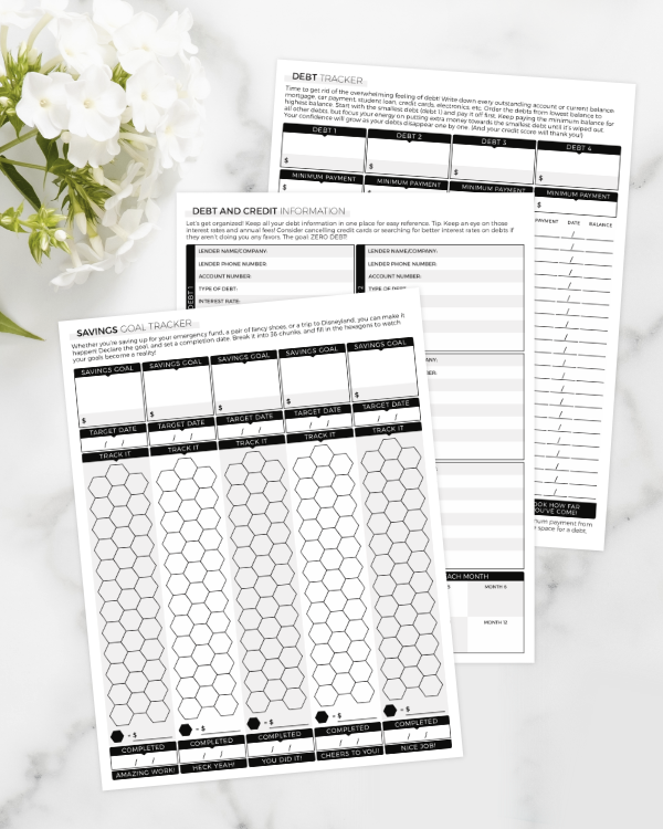 Budget Planner Lite | Digital Download